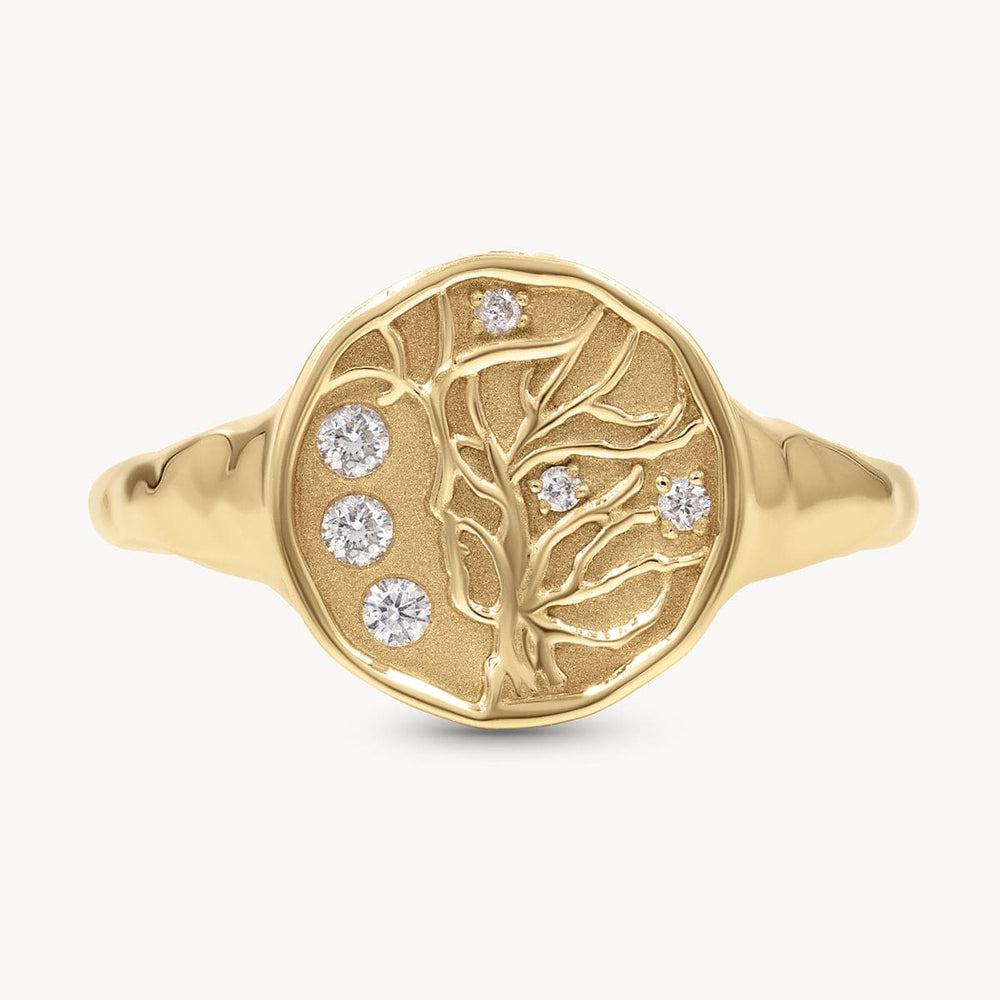 Starry Night Dreaming Tree Ring