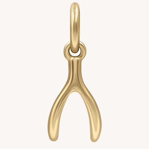 Wishbone Mini Golden Charm