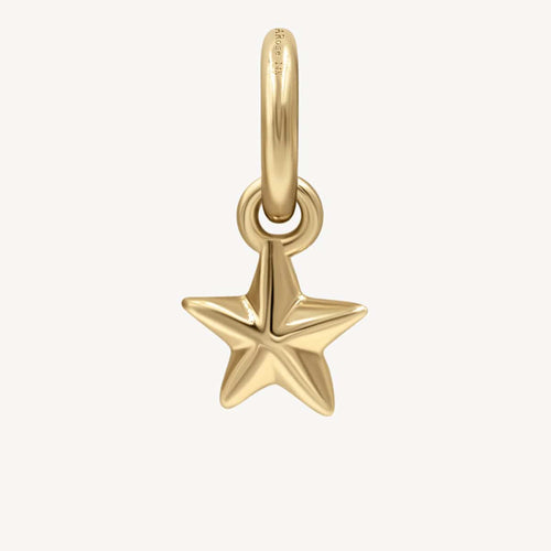 Star Mini Golden Charm